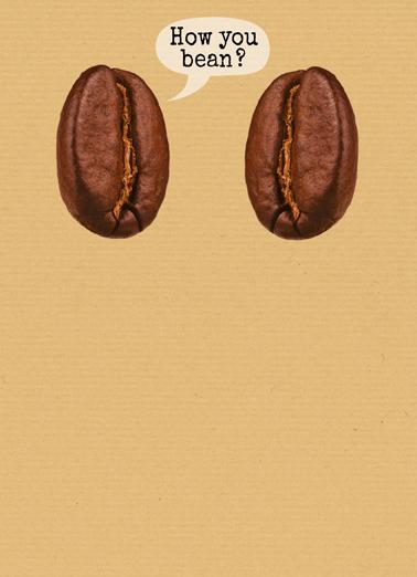 How You Bean? How You Bean?