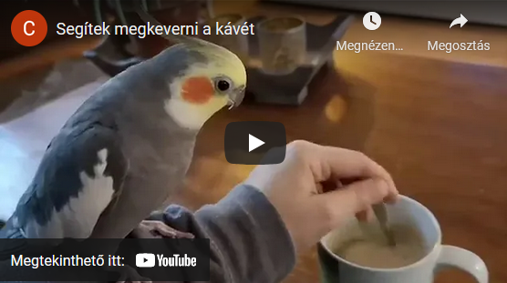 Barátommal kávézgatok Barátommal kávézgatok