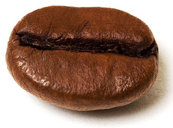 A kávészem, mint egy kilós kenyér... :-) A kávészem, mint egy kilós kenyér... :-)