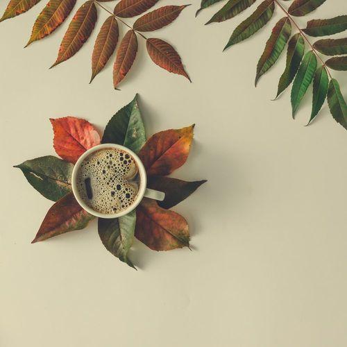 Kávé őszi hangulatban falevelek társaságában Kávé őszi hangulatban falevelek társaságában