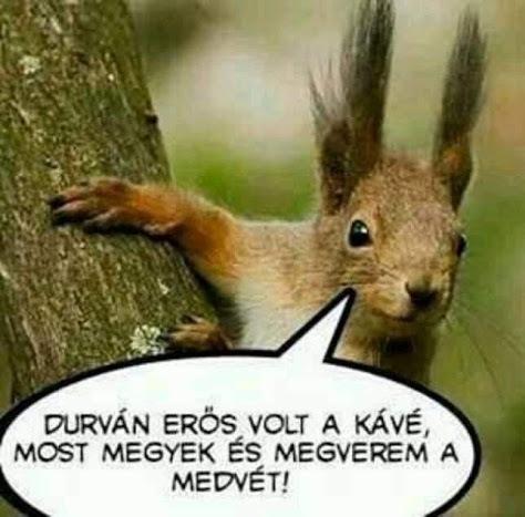 Durván erős kávé következményei Durván erős kávé következményei