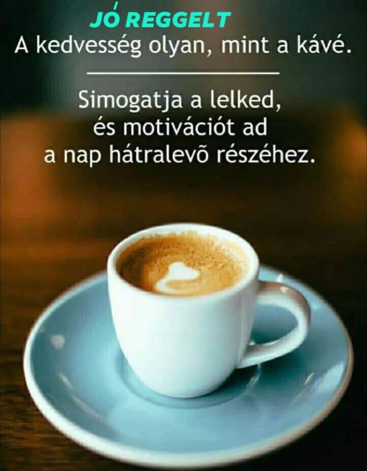 Napi bölcsesség egy csésze kávé mellett egy csésze kávétól... :-) Napi bölcsesség egy csésze kávé mellett egy csésze kávétól... :-)