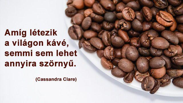 Amíg lézetik kávé a világon, addig semmi sem lehet annyira szörnyű Amíg lézetik kávé a világon, addig semmi sem lehet annyira szörnyű