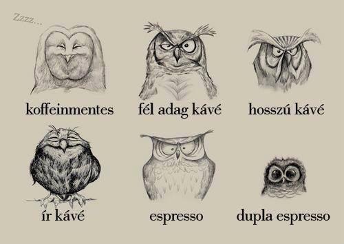 A kávé hatása A kávé hatása