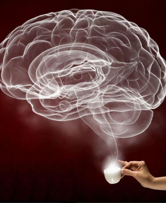 A koffein - kávé - hatása A koffein - kávé - hatása