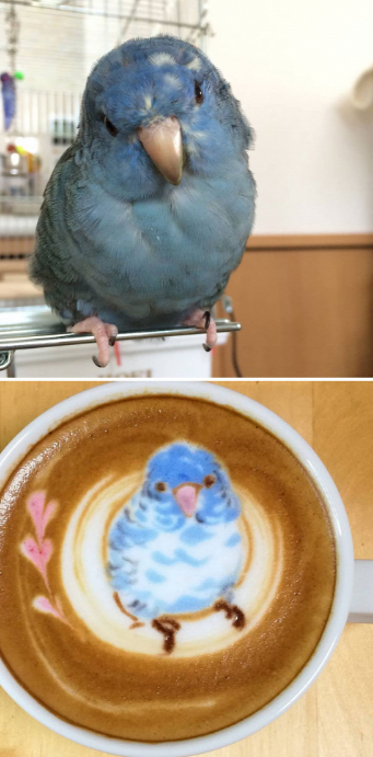 Szia kishaver - kérek egy mosolyt Szia kishaver - kérek egy mosolyt