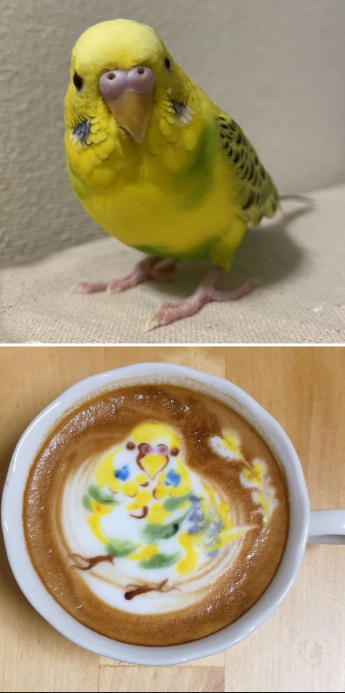 Én most nagyon komoly vagyok Én most nagyon komoly vagyok