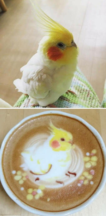 Hogy tetszik a frizurám? Hogy tetszik a frizurám?