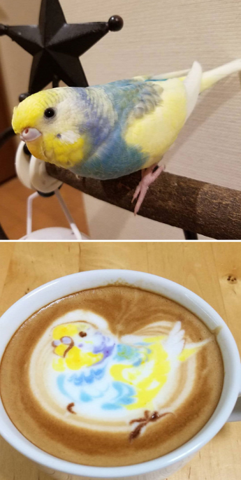 Csipegethetnénk már valamit... Csipegethetnénk már valamit...