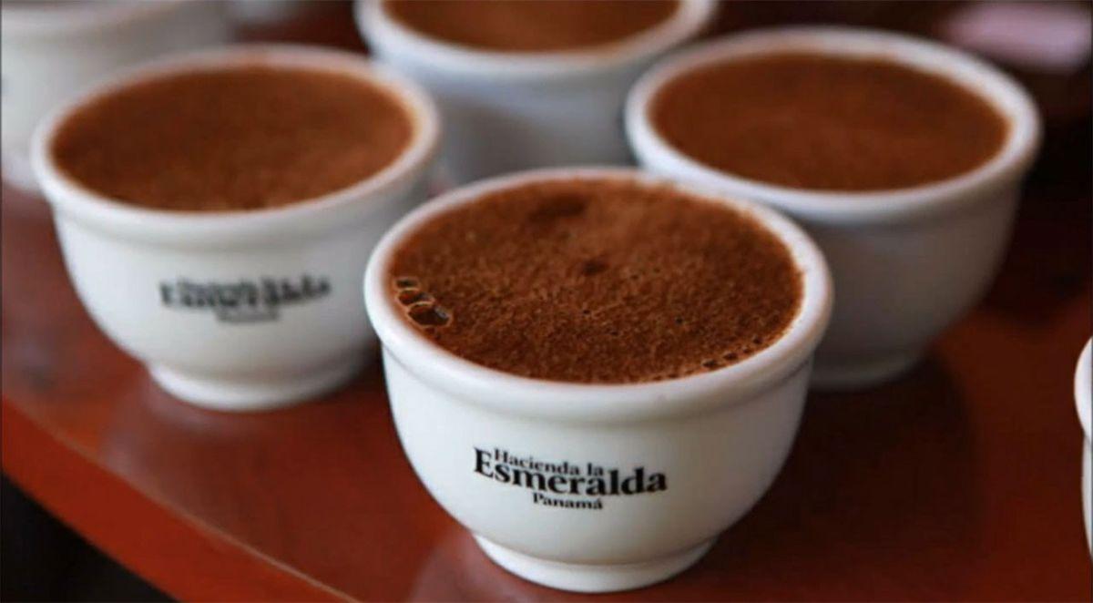 Hacendia la Esmeralda Coffee