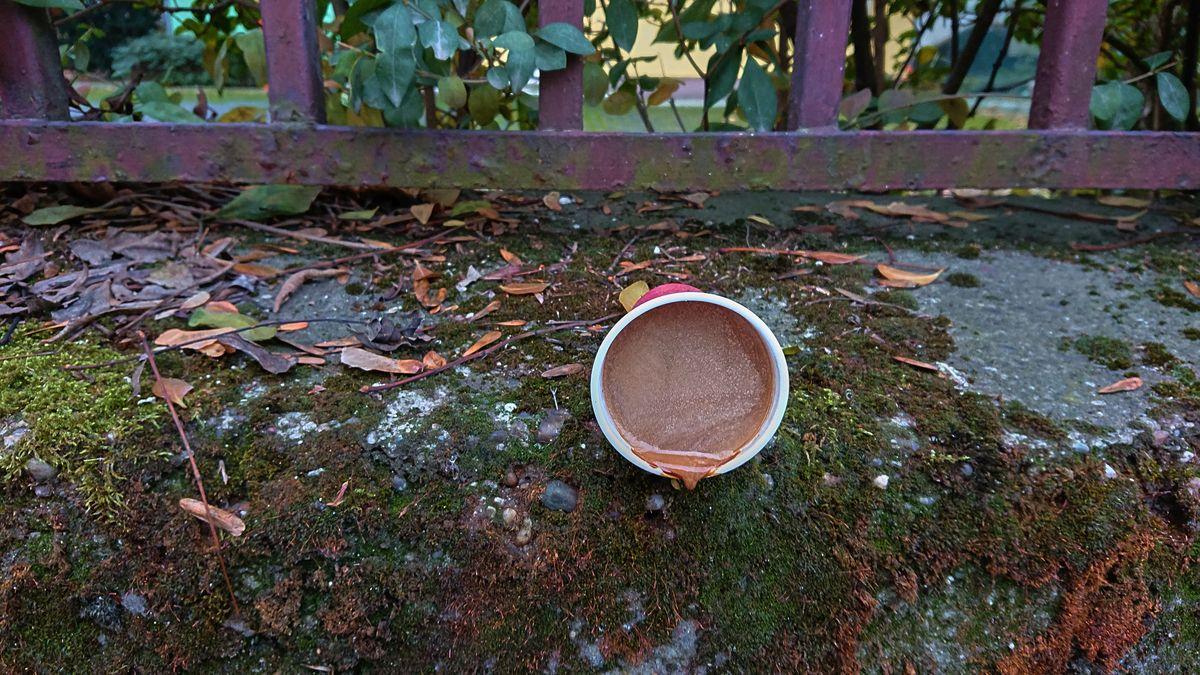 Megfagyott a kávé - a tél első áldozata Megfagyott a kávé - a tél első áldozata