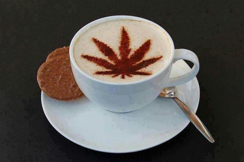 Kávé és a fű Kávé és a fű