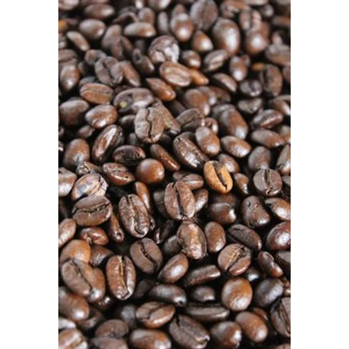 Robusta vs. Arabica