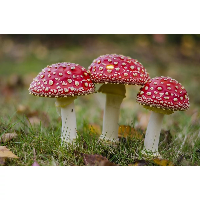 Napi kávéfőző rutin