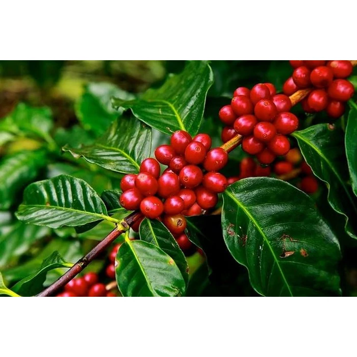 Reggel óta tanakodtam...