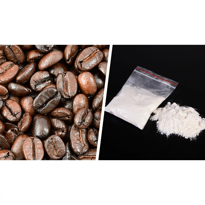 Kokain a kávébabban