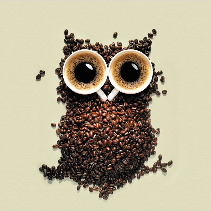 Kávévarázslat: Az ébrenlét elixírje