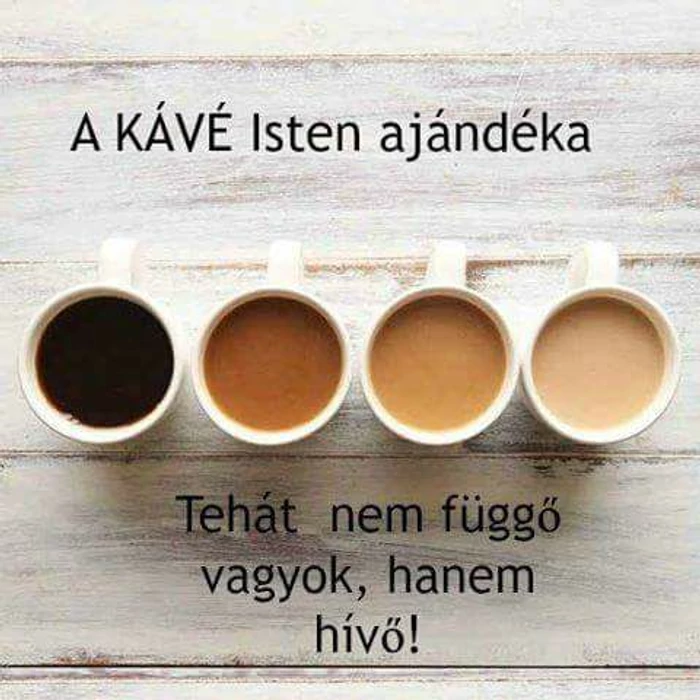 A kávé Isten ajándéka