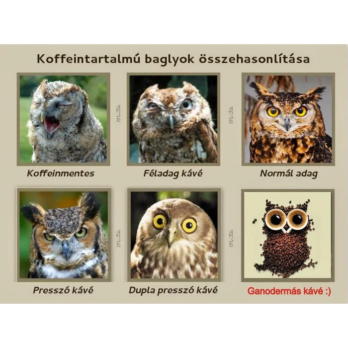 Brit tudósok szerint