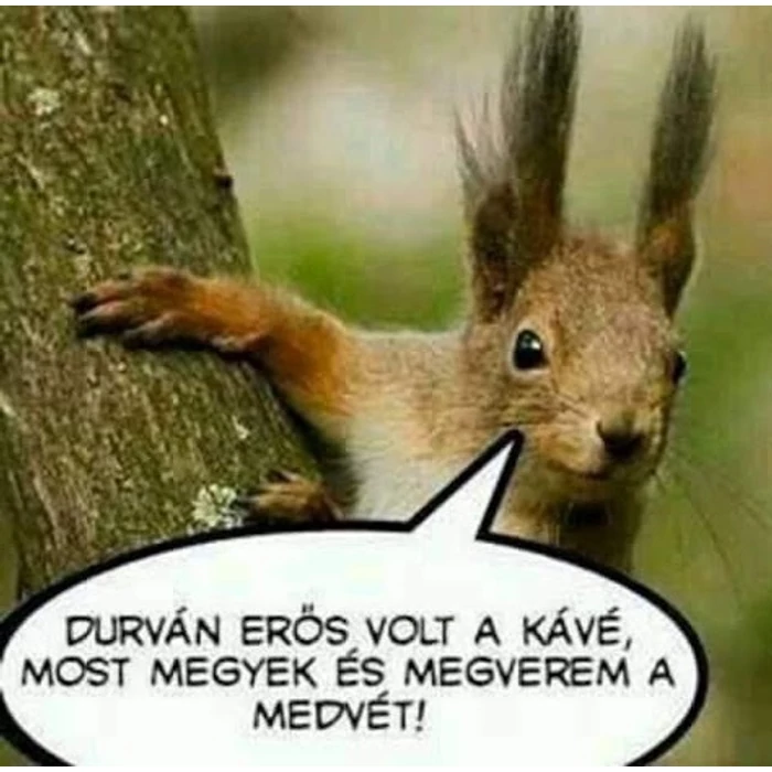 A nagyon erős kávé