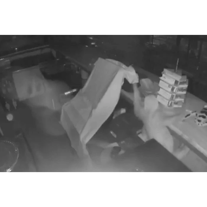 Kávézni indult a lajhár